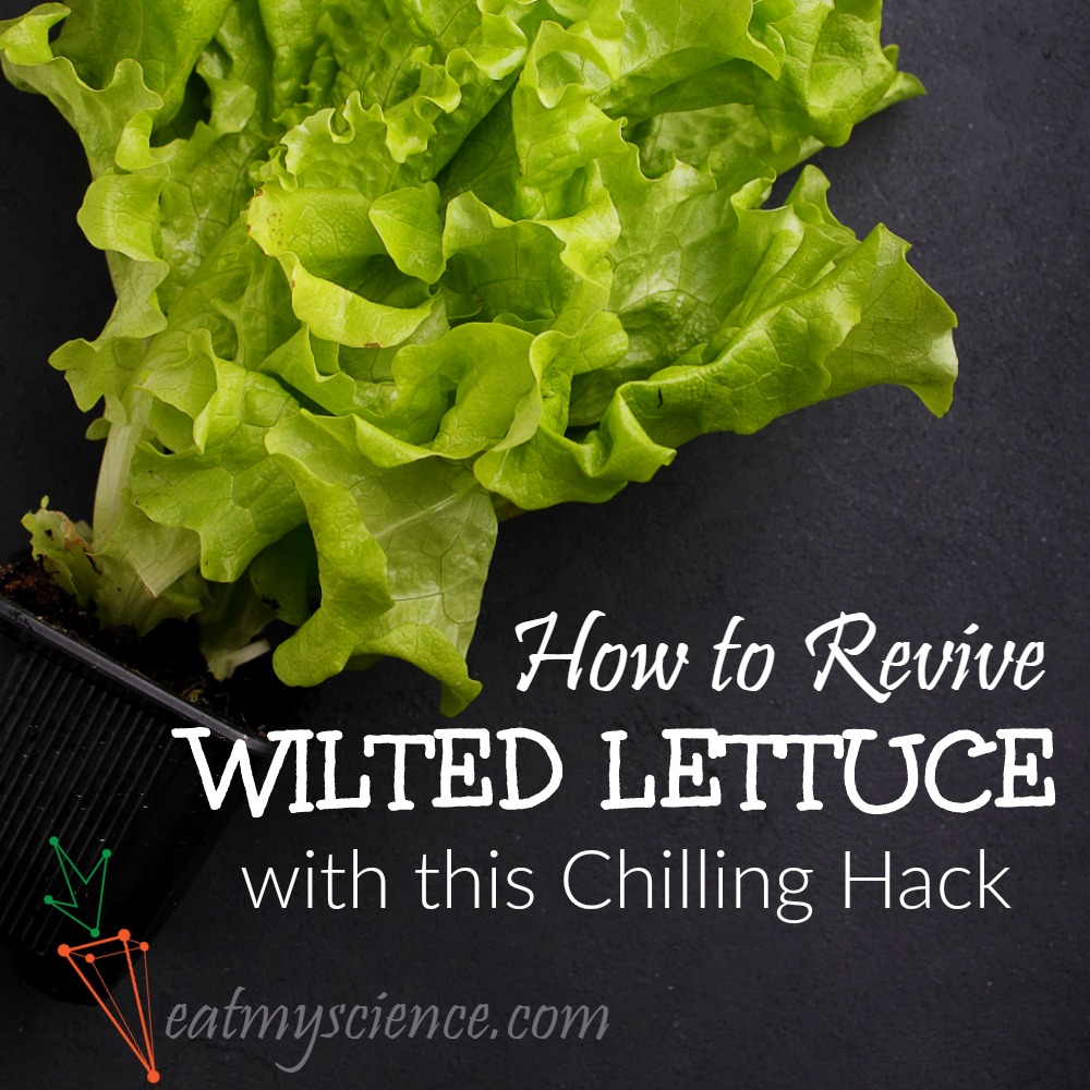 How to Revive Wilted Salad Greens and Herbs - Culinary Ginger